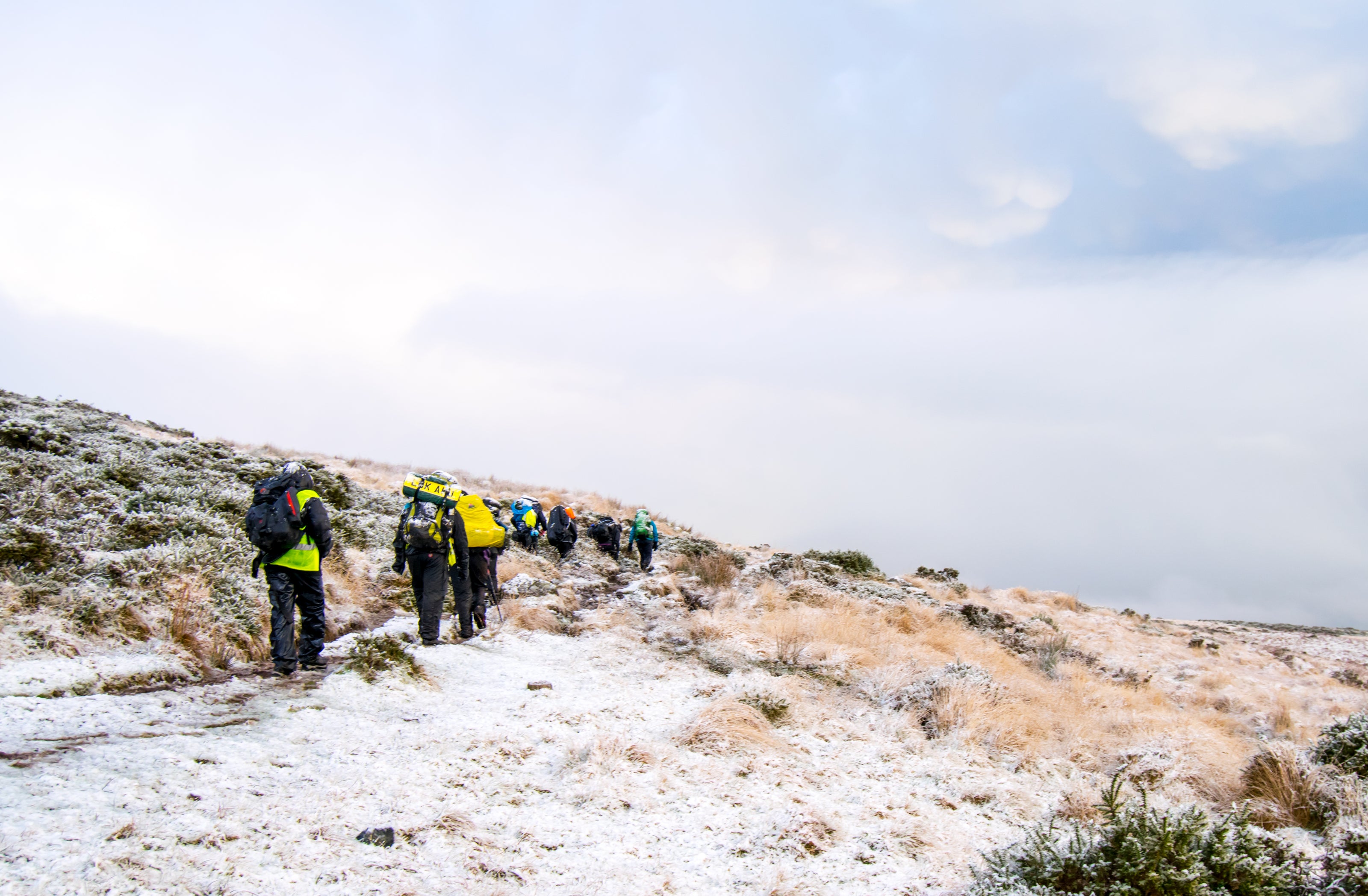 Snowy Group Walk